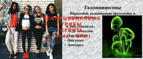 каннабис Абаза