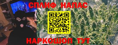 дурь Кингисепп